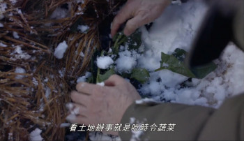 The Zen Diary (2022) download