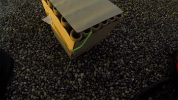 Therapy Dogs (2022) download