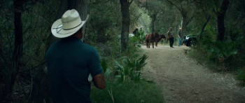 Thieves Highway (2025) download