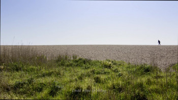 Thomas Hardy: Fate, Exclusion & Tragedy (2021) download