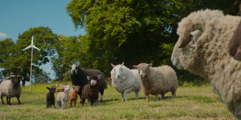 Three Bags Full: A Sheep Detective Movie (2026) download
