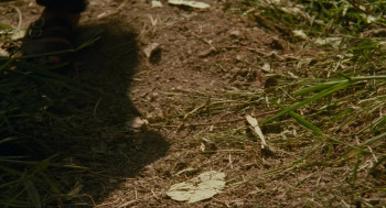 Three Seasons (1999) download