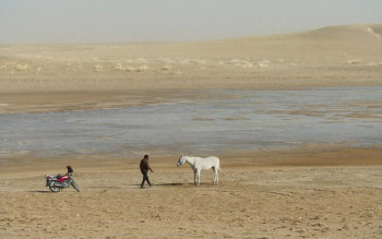 To Kill a Mongolian Horse (2024) download