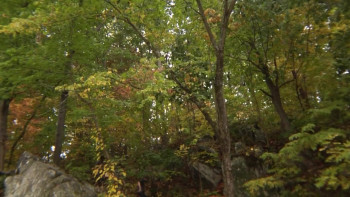 Toad Road (2012) download