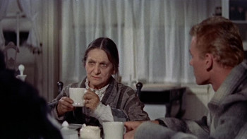 Track of the Cat (1954) download