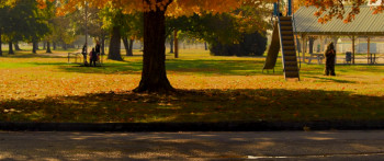 Trick and Treats (2025) download