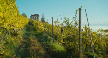 Trifole (2024) download