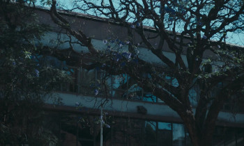 Trust (2025) download