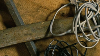 Trust No 1 (2019) download