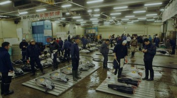 Tsukiji Wonderland (2016) download