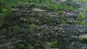 Two Thousand and None (2000) download