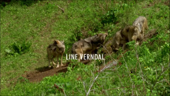 Ulvesommer (2003) download