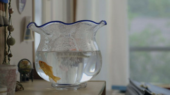 Umibe no kingyo (2021) download