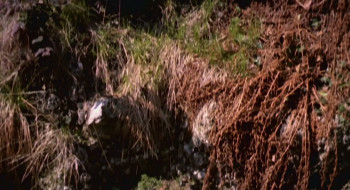 Un dramma borghese (1979) download