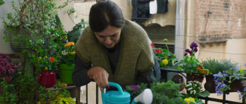 Una jirafa en el balcón (2024) download