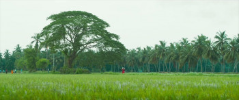 Vanaveera (2026) download