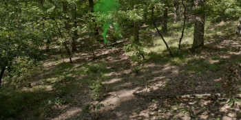 Vasile si naveta spatiala (2025) download