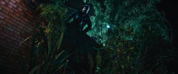 Velhos Bandidos (2026) download