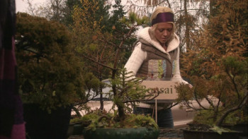 Vipers (2008) download