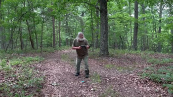 Waspzilla (2024) download