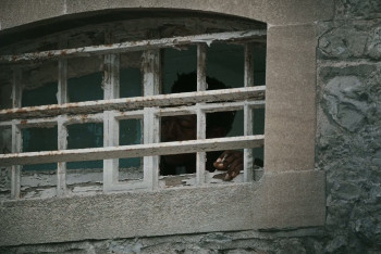 Wasteman (2025) download