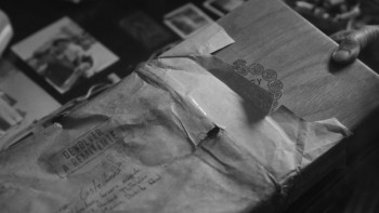 We Shall Not Be Moved (2024) download