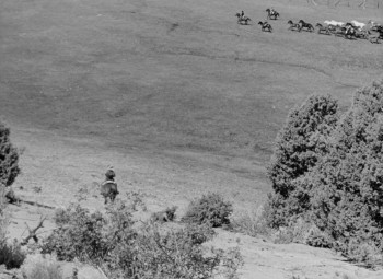 Westward the Women (1951) download