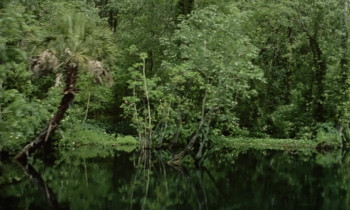 White Cannibal Queen (1980) download