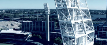 Wild Butterfly (2019) download