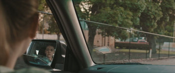 Wild Butterfly (2019) download