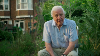 Wild London (2026) download