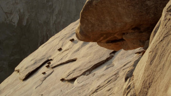 Wild Namibia (2014) download