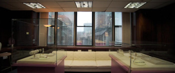 Wildcat (2025) download