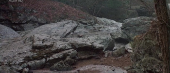 Winter People (1989) download