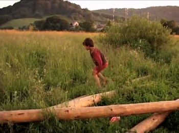 Witness to the Mob (1998) download