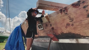 Women & the Wind (2025) download