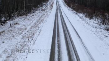 Woods of Ash (2025) download