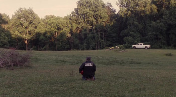 Young Bodies Heal Quickly (2014) download