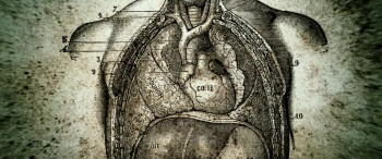 Zombie Massacre 2: Reich of the Dead (2015) download