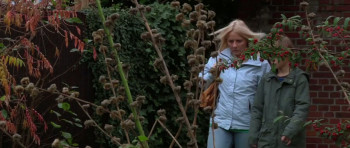 Zoomerne (2009) download